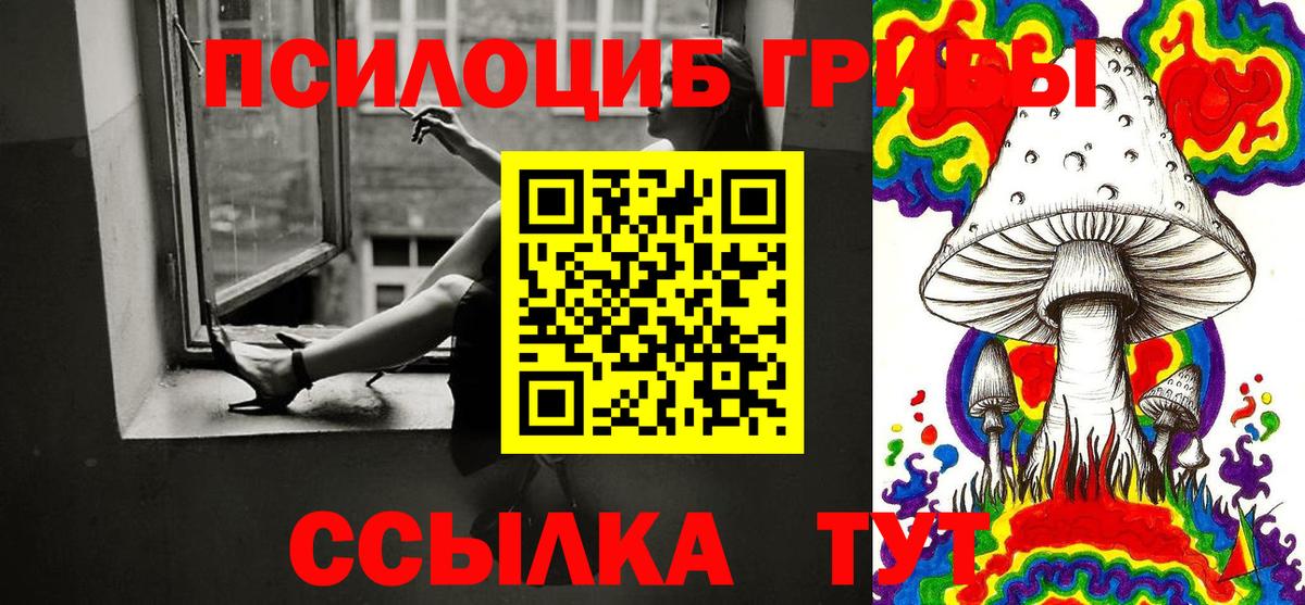 Тулун  Галлюциногенные грибы GOLDEN TEACHER  Вход с VPN 